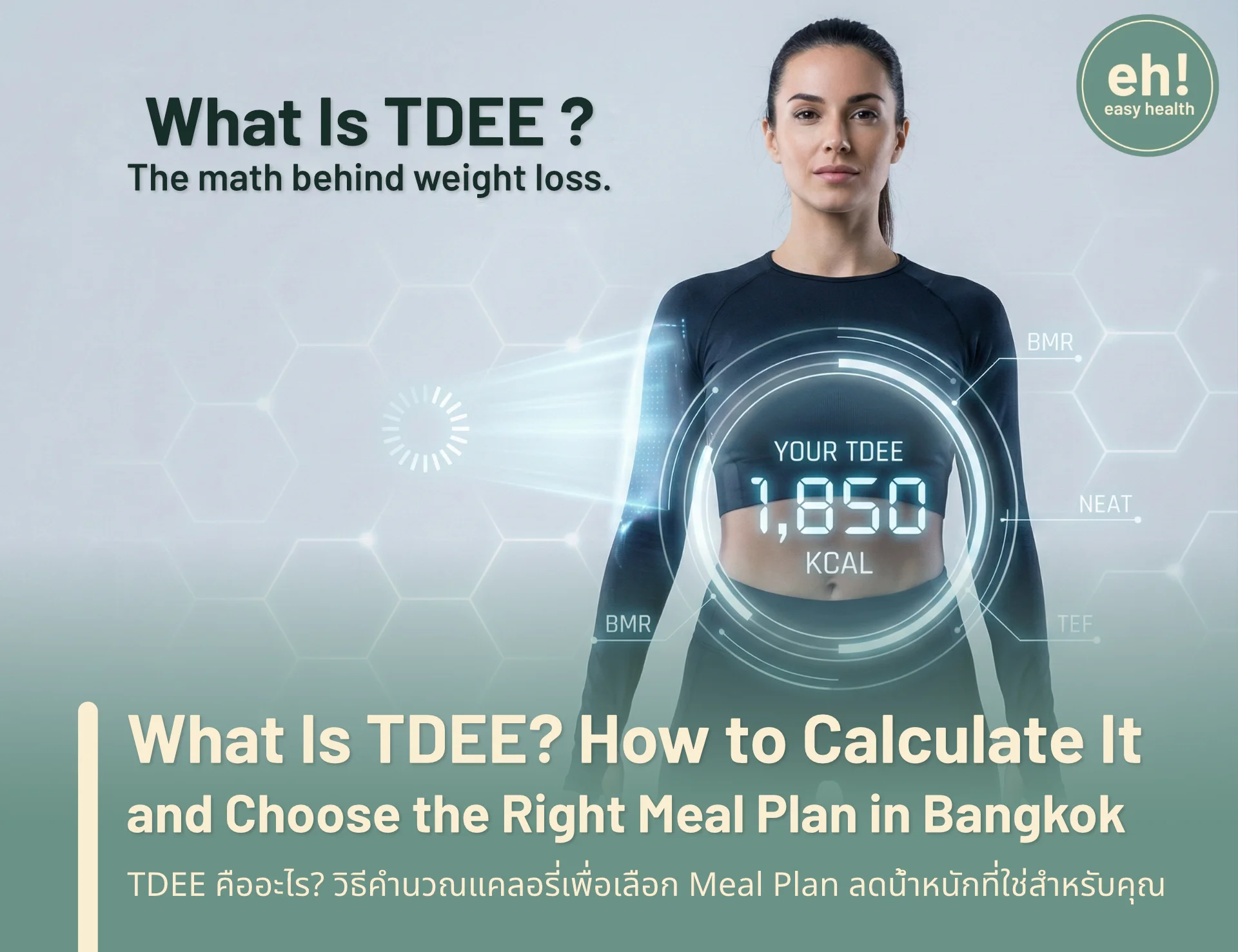 What Is TDEE | How to Calculate Calories & Choose Meal Plan | Easy Health
