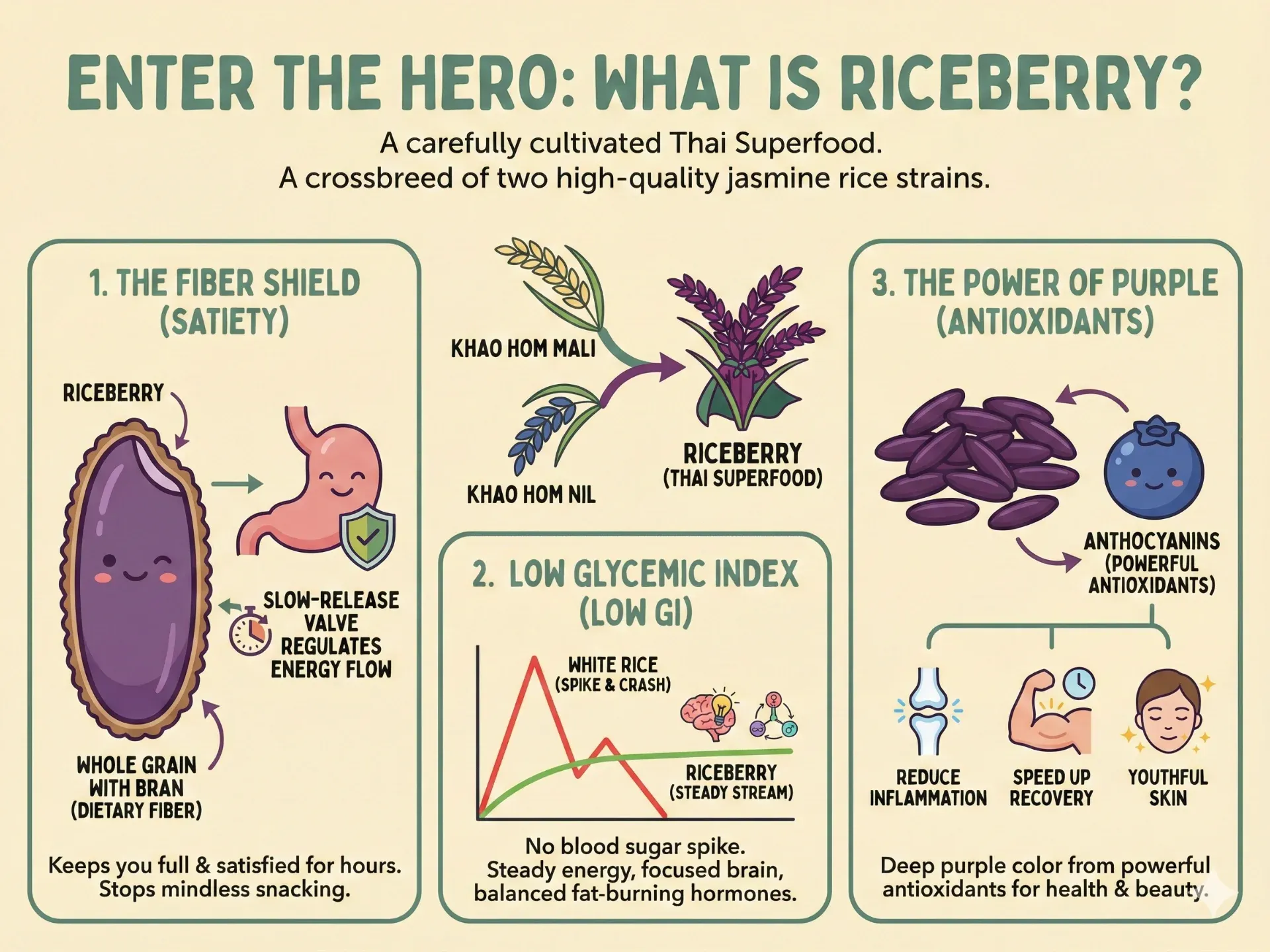 Enter the Hero- What is Riceberry?.webp